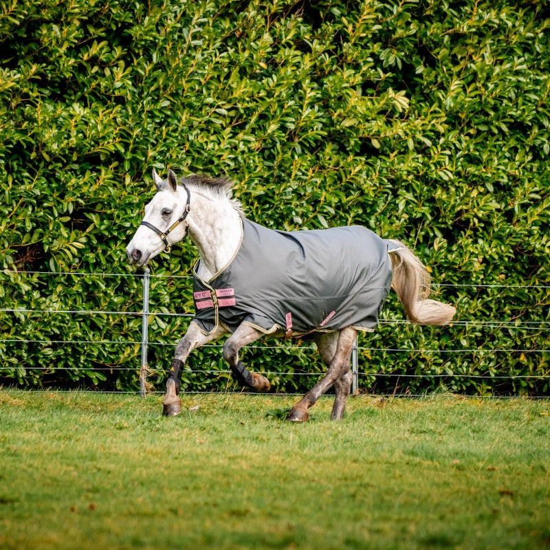 Horseware - Couverture d'extérieur Amigo Hero Ripstop shadow/ rose/ marine 0g | - Ohlala