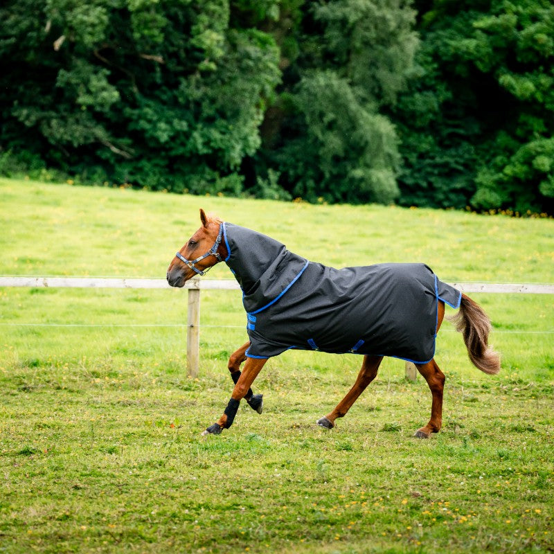 Horseware - Couverture d'extérieur Amigo Ripstop 900 Plus noir/ classic blue 200g | - Ohlala