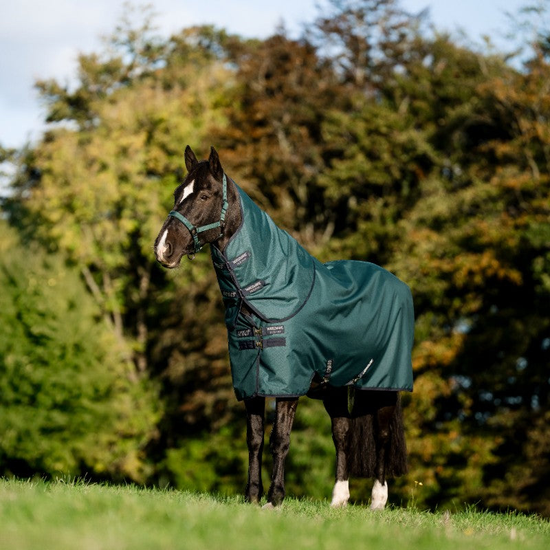 Horseware - Couverture d'extérieur Amigo Ripstop Plus Pony Turnout dynasty green/ marine/ argent 200g | - Ohlala