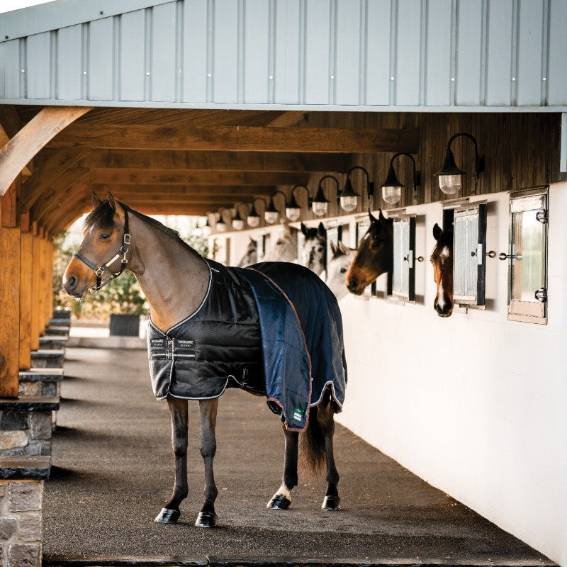 Horseware - Couverture de box Easy-Layer Stable Plus noir/ noir/ silver 400g | - Ohlala