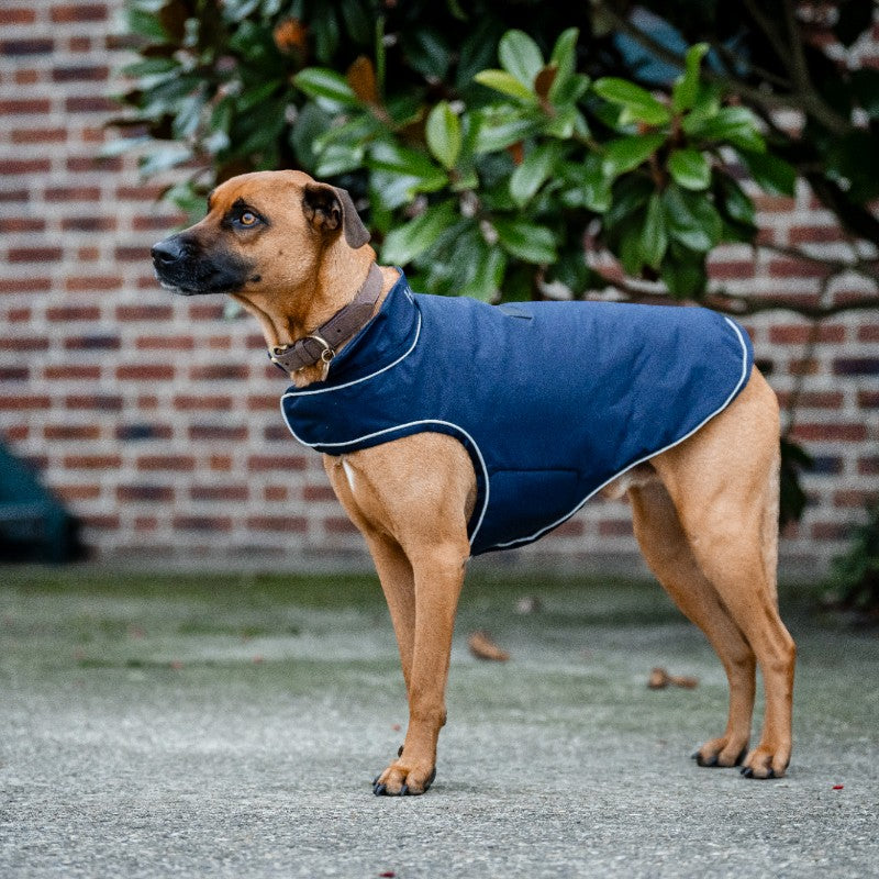 Horseware - Couverture imperméable pour chien Signature marine | - Ohlala