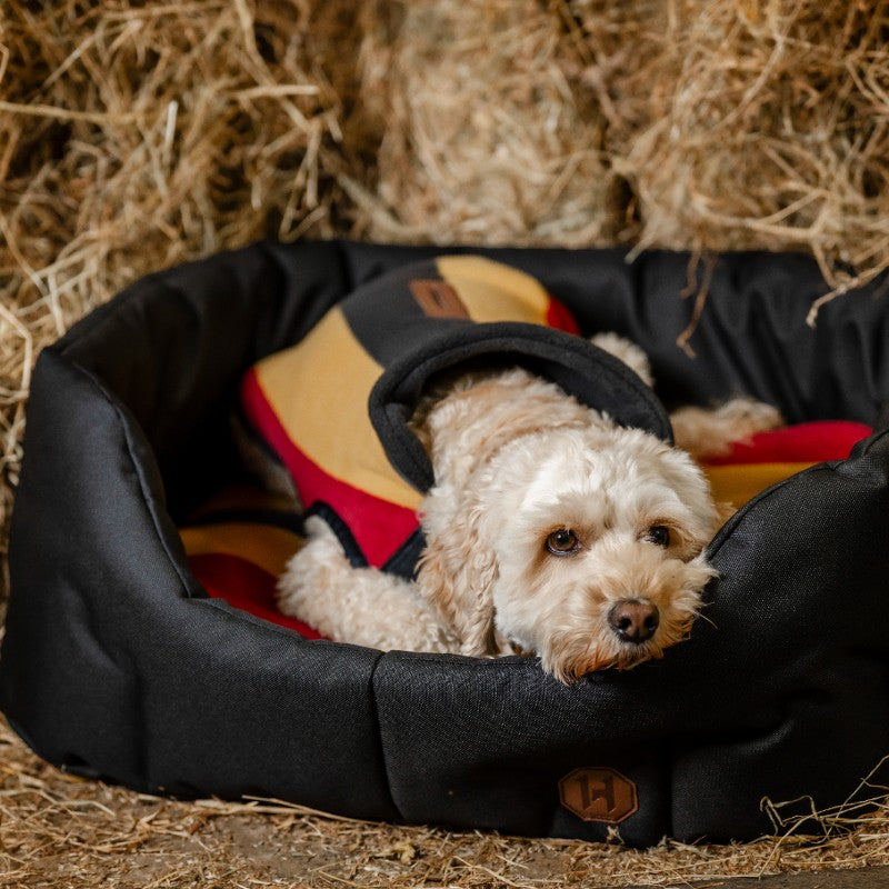 Horseware - Couverture polaire pour chien Newmarket witney gold | - Ohlala