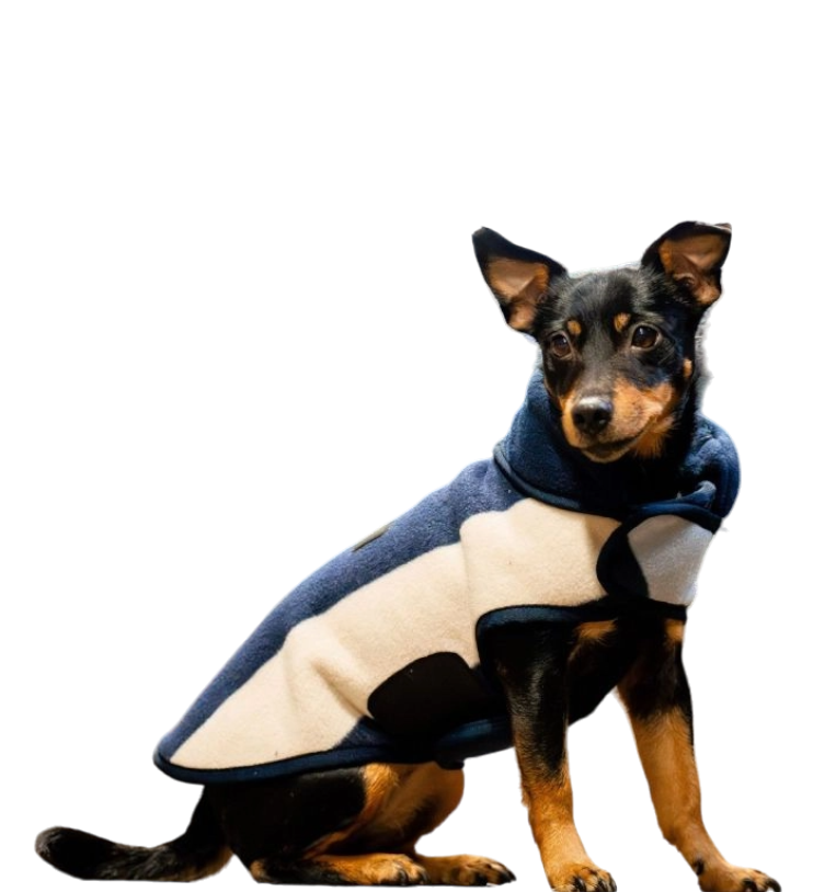 Horseware - Couverture polaire pour chiens Signature whitney marine | - Ohlala