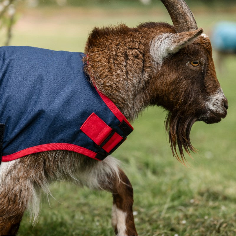 Horseware - Couverture pour chèvre marine/ rouge 0g | - Ohlala