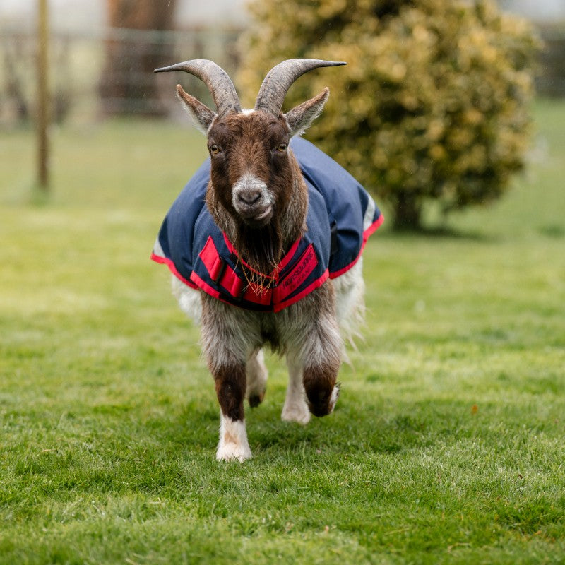 Horseware - Couverture pour chèvre marine/ rouge 200g | - Ohlala