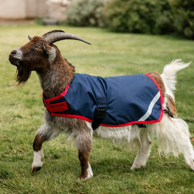 Horseware - Couverture pour chèvre marine/ rouge 200g | - Ohlala