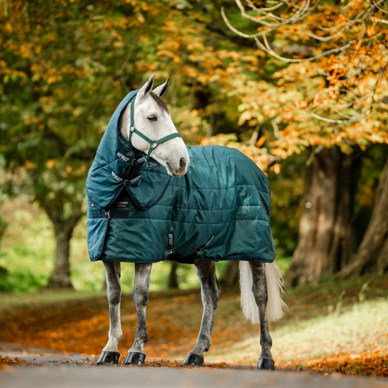 Horseware - Couvre-cou couverture de box Amigo Ripstop Insulator dynasty green/ marine/ argent 200g | - Ohlala