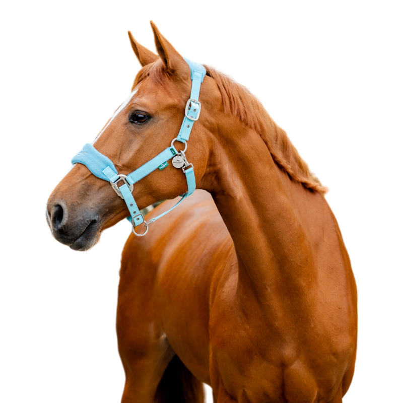 Horseware - Licol de pansage Signature Grooming blue haze | - Ohlala