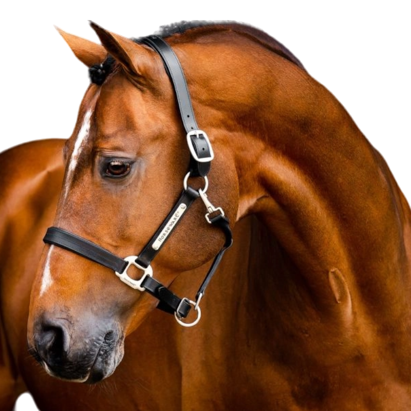 Horseware - Licol en cuir Signature noir | - Ohlala