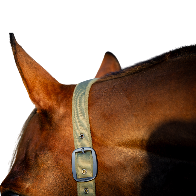 Horseware - Licol et longe Amigo bramble | - Ohlala