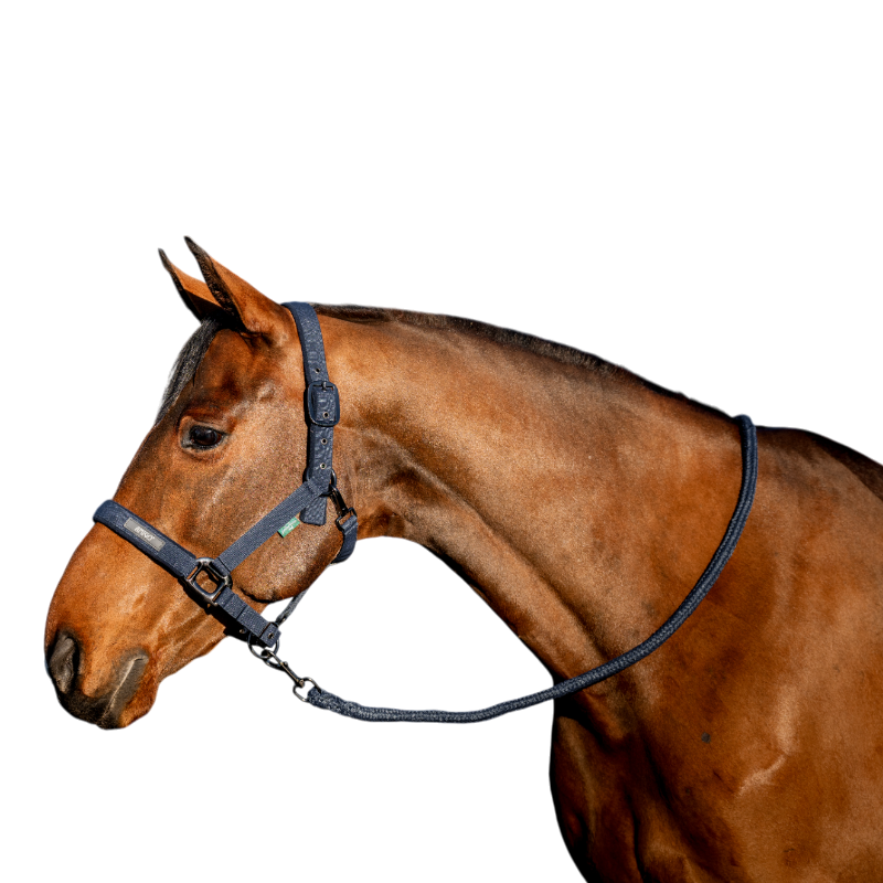 Horseware - Licol et longe Amigo marine | - Ohlala
