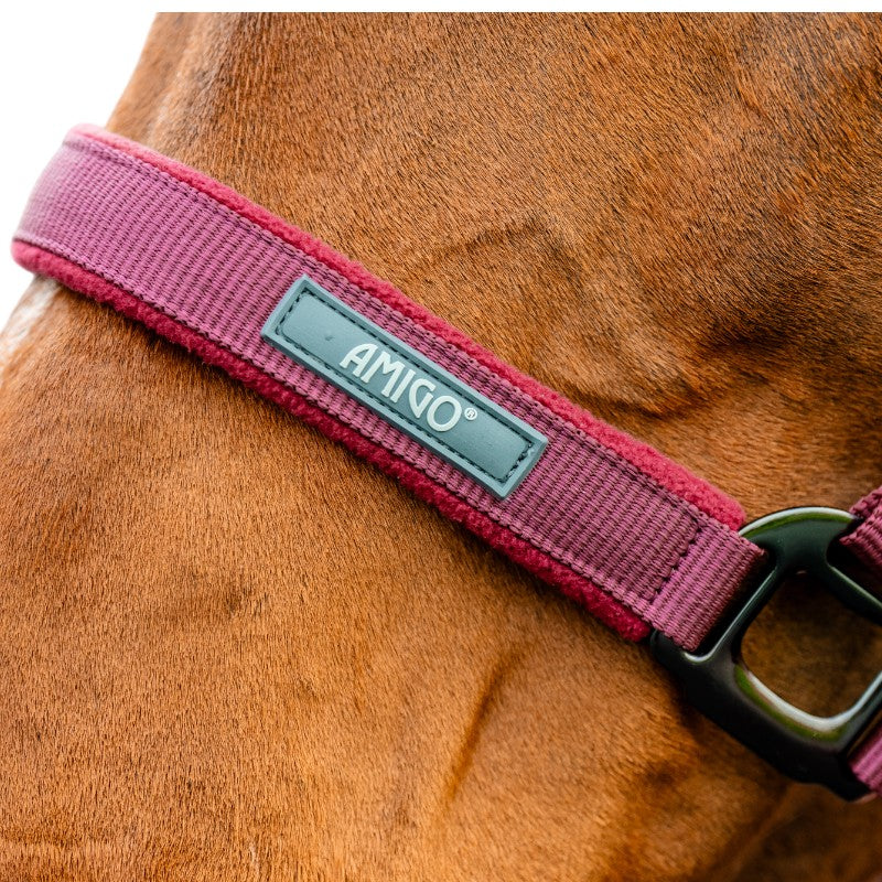 Horseware - Licol et longe Amigo mulberry | - Ohlala