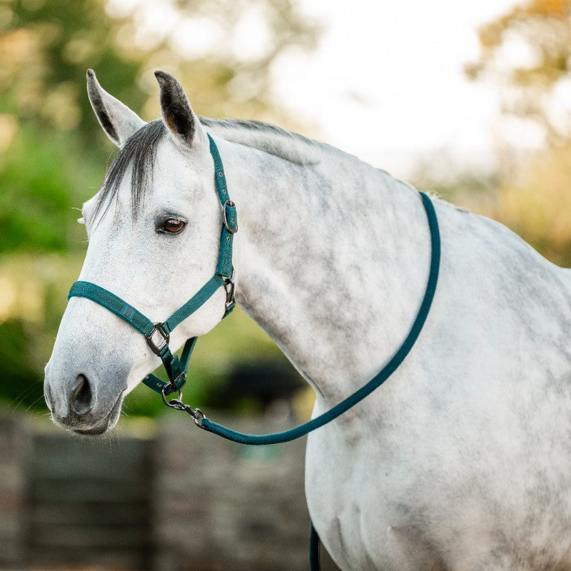 Horseware - Licol et longe dynasty green | - Ohlala