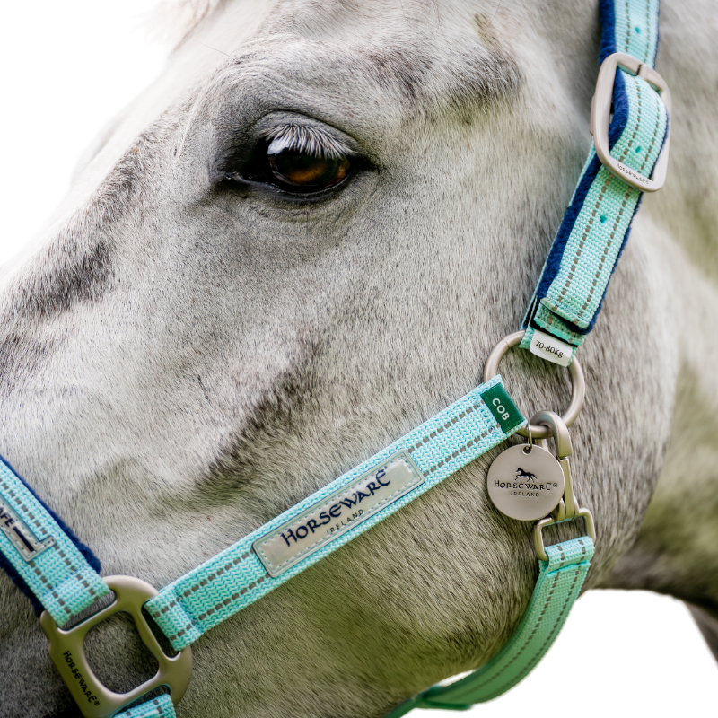 Horseware - Licol spécial pâturage Field Safe blue haze | - Ohlala