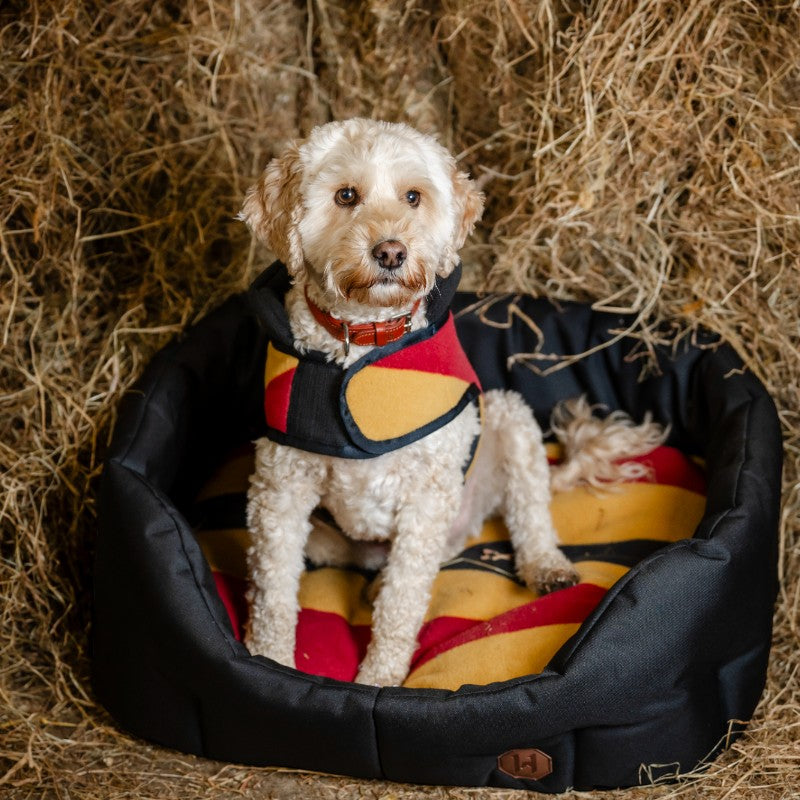 Horseware - Panier pour chien Newmarket witney gold | - Ohlala