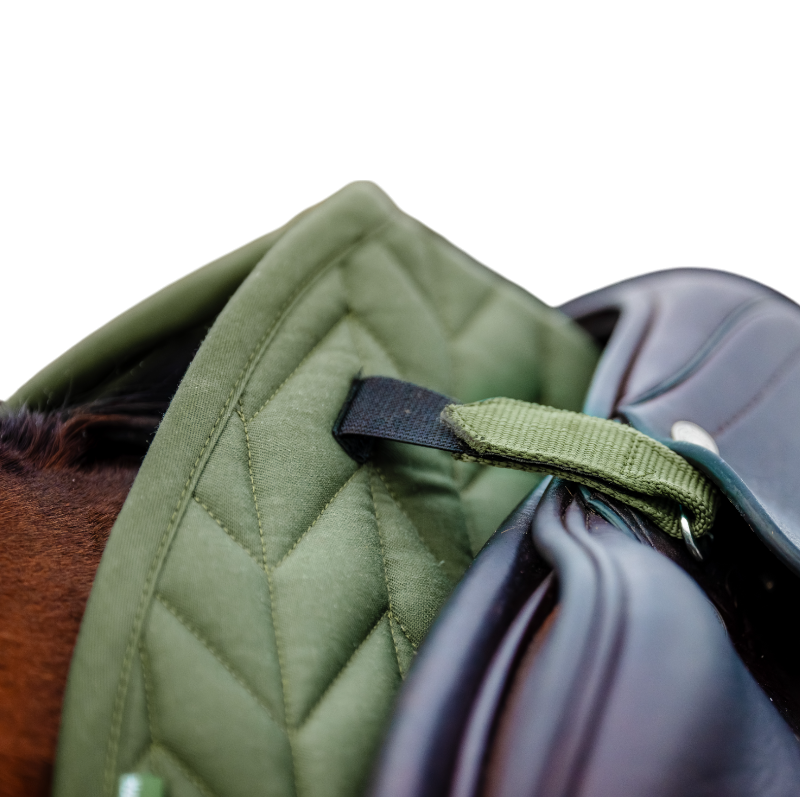 Horseware - Tapis de selle Amigo GP bramble | - Ohlala