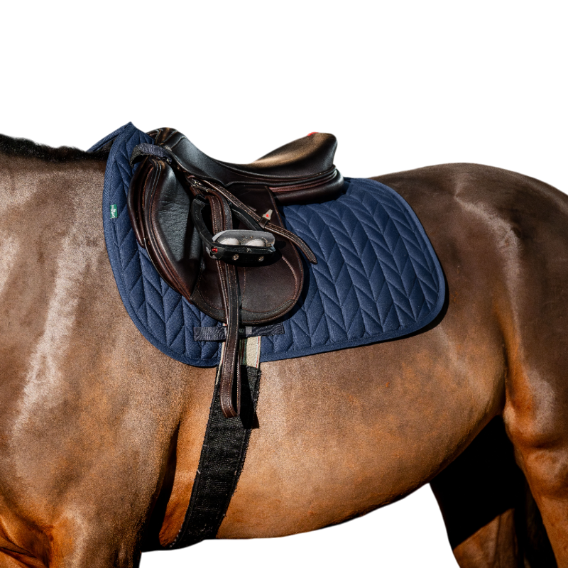 Horseware - Tapis de selle Amigo GP marine | - Ohlala