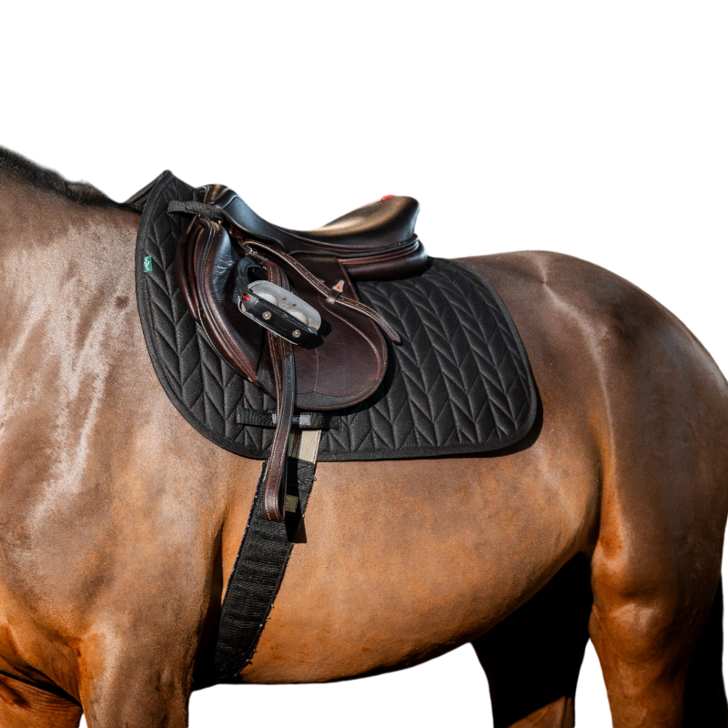 Horseware - Tapis de selle Amigo GP noir | - Ohlala