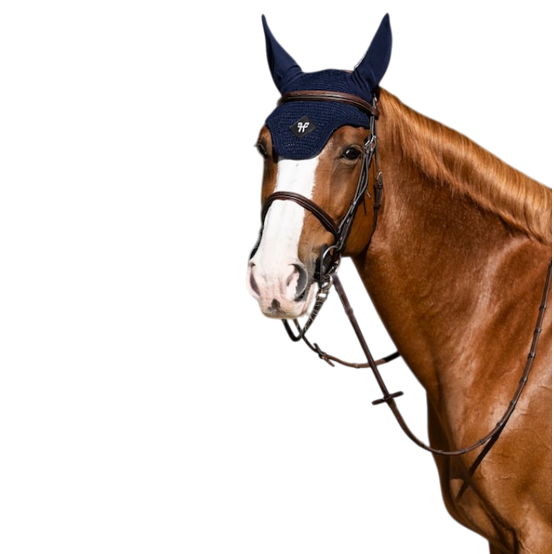 Horse Pilot - Bonnet pour chevaux dark night | - Ohlala