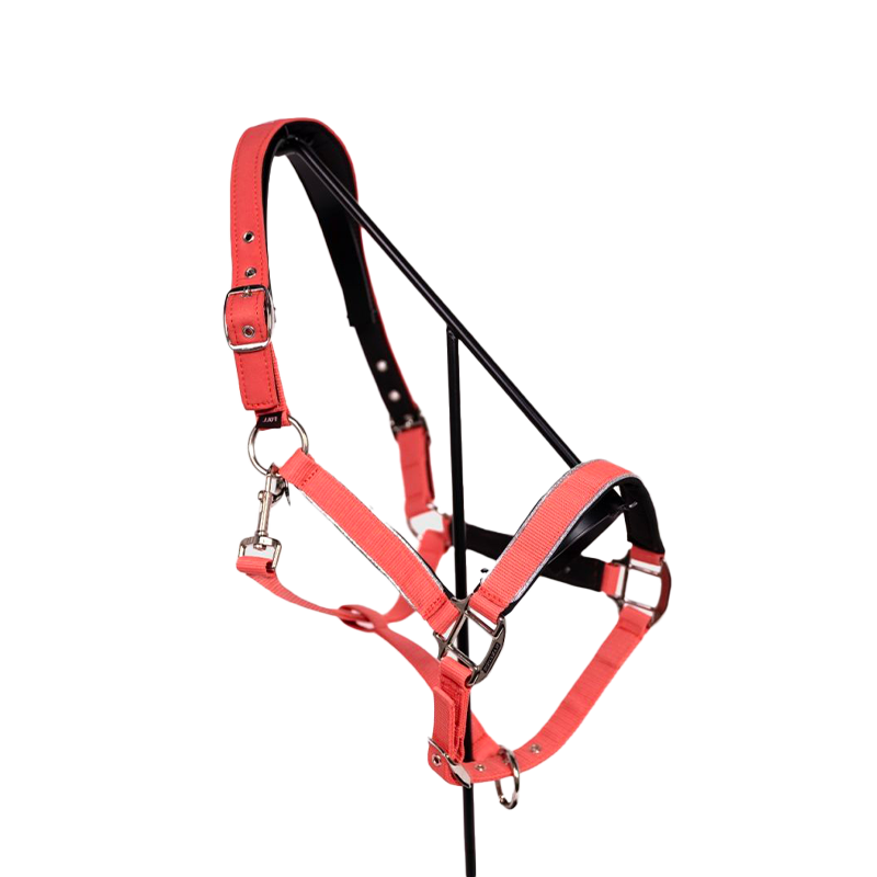 Harcour - Licol Bamara pamplemousse | - Ohlala