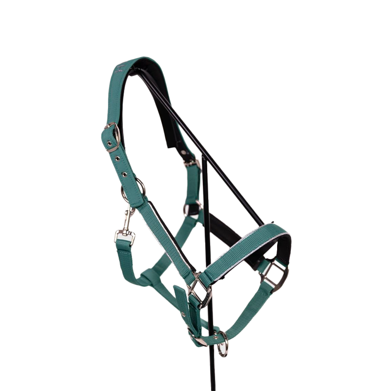 Harcour - Licol Bamara paon | - Ohlala