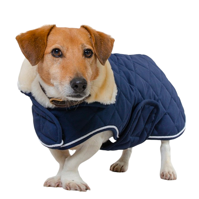 Harcour - Couverture pour chien Rocket marine 0g | - Ohlala