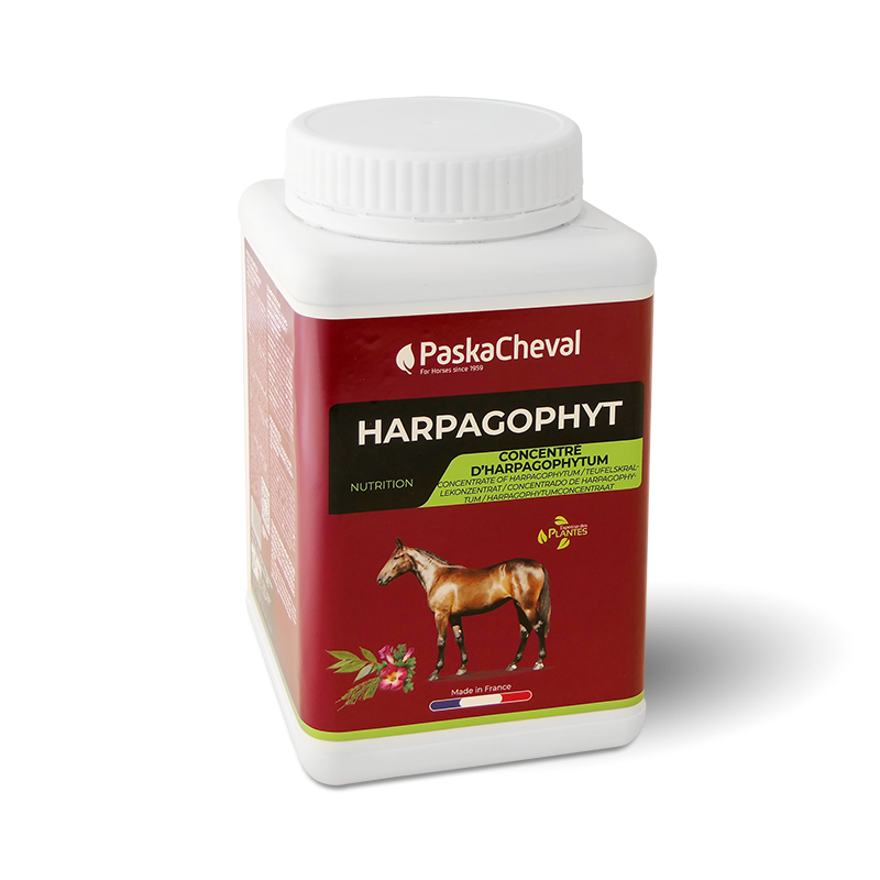 Paskacheval - Complément alimentaire soutien articulaire Harpagophyt | - Ohlala
