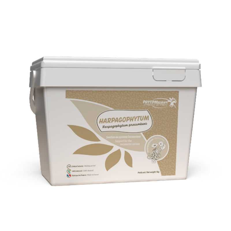 PhytoMaster - Complément alimentaire souplesse articulaire Harpagophytum Pur