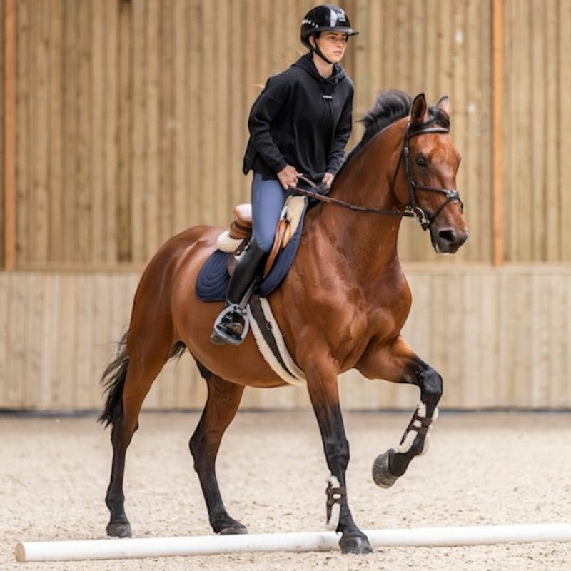 Horse Pilot - Sweat à capuche femme Team noir | - Ohlala