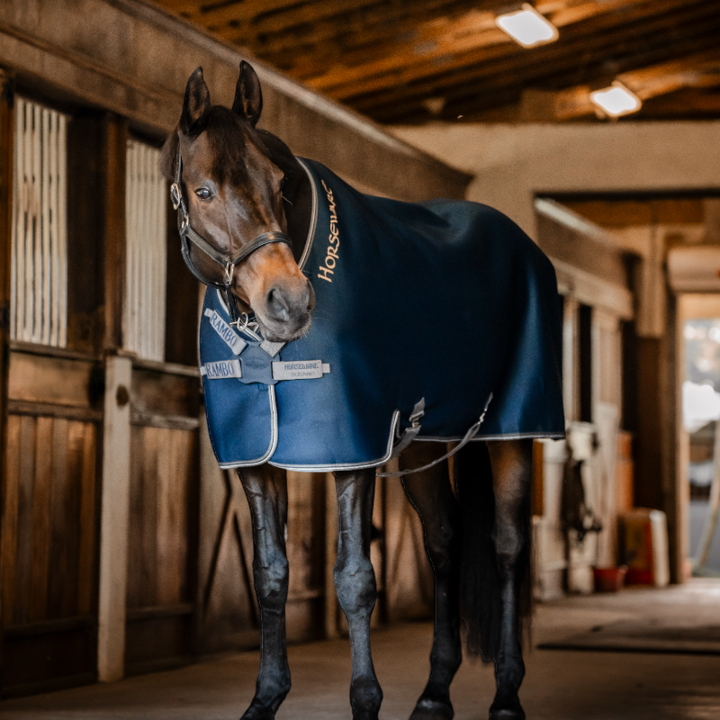 Horseware - Chemise séchante Rambo Airmax Cooler marine/ thunderstorm grey/ argent | - Ohlala