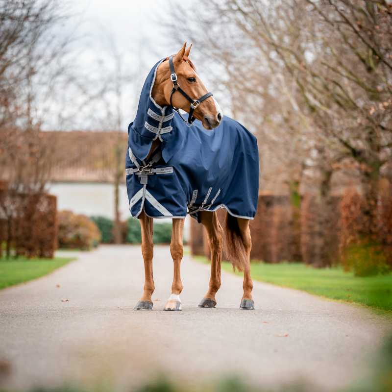 Horseware - Couverture d'extérieur Amigo Bravo Integrated Turnout marine/ titanium grey/ argent 150g | - Ohlala