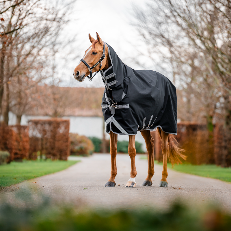 Horseware - Couverture d'extérieur Amigo Bravo Integrated Turnout noir/ titanium grey/ argent 0g | - Ohlala