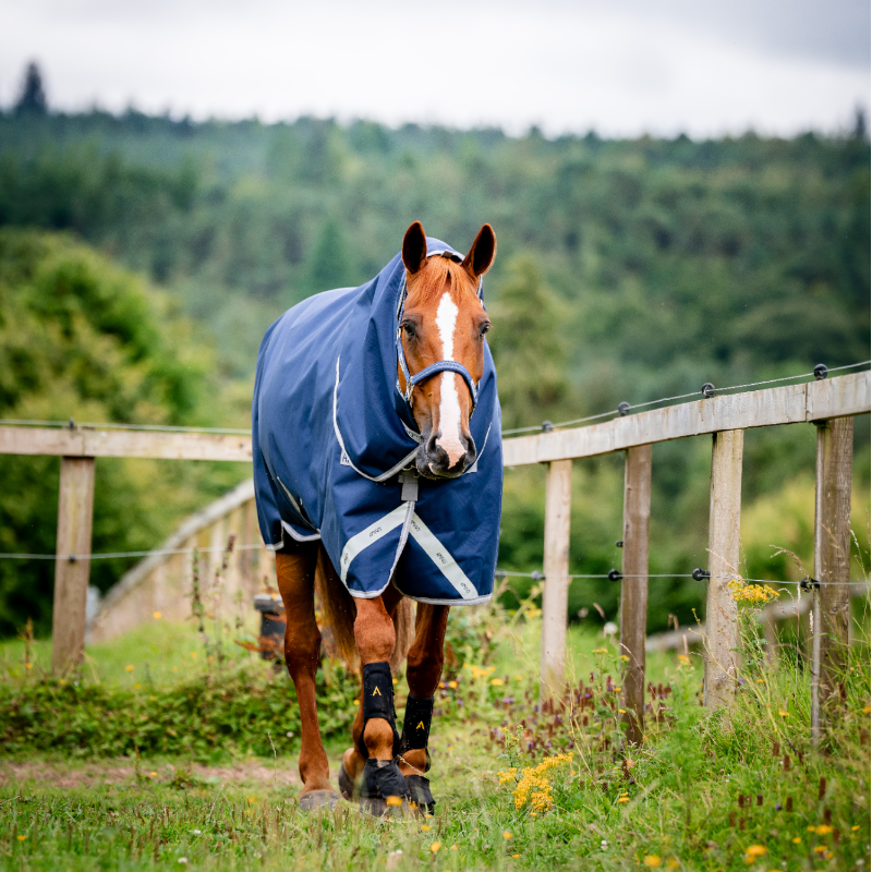 Horseware - Couverture d'extérieur Amigo Bravo Plus Turnout marine/ titanium grey/ argent 100g | - Ohlala