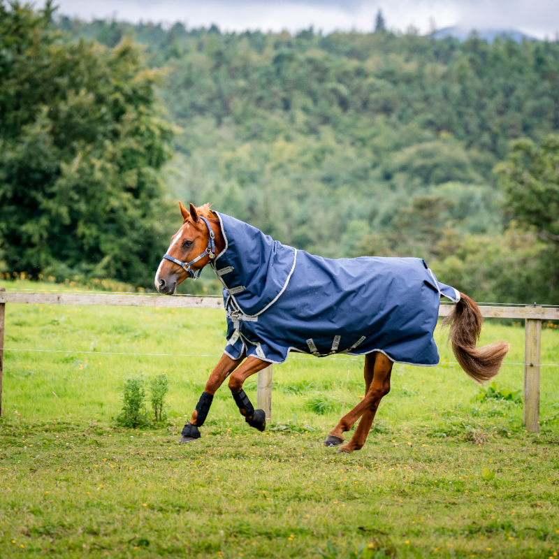 Horseware - Couverture d'extérieur Amigo Bravo Plus Turnout marine/ titanium grey/ argent 100g | - Ohlala