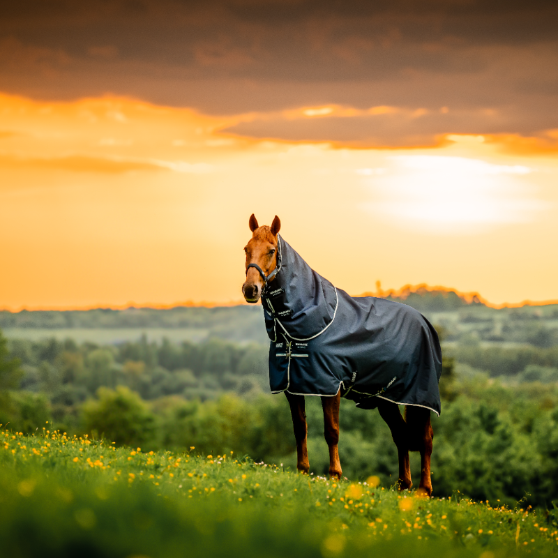 Horseware - Couverture d'extérieur Amigo Ripstop Plus Turnout witney navy 100g | - Ohlala