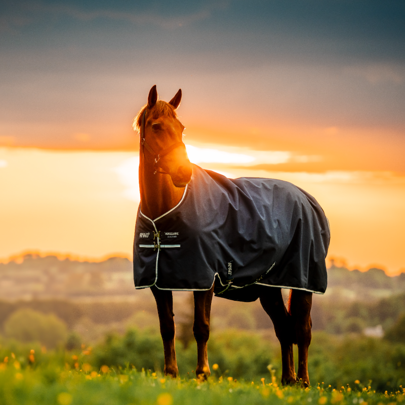 Horseware - Couverture d'extérieur Amigo Ripstop Turnout doublé polaire witney navy 50g | - Ohlala