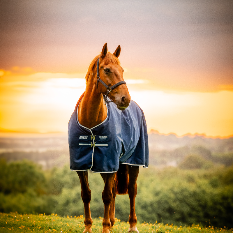Horseware - Couverture d'extérieur Amigo Ripstop Turnout doublé polaire witney navy 50g | - Ohlala