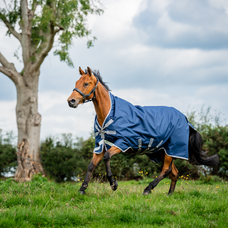 Horseware - Couverture d'extérieur Amigo Wug Turnout marine/ titanium grey/ argent 50g | - Ohlala