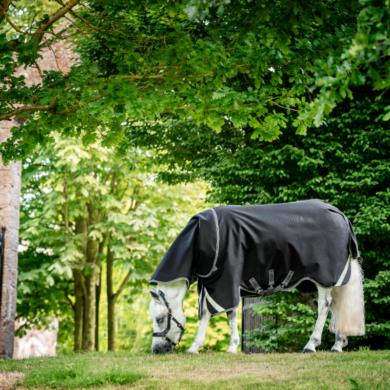 Horseware - Couverture d'extérieur Rambo Plus Turnout noir/ thunderstorm grey/ argent 100g | - Ohlala