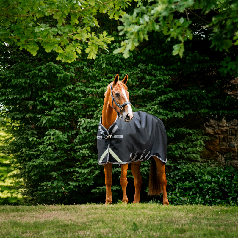 Horseware - Couverture d'extérieur Rambo Turnout noir/ thunderstorm gris/ argent 50g | - Ohlala