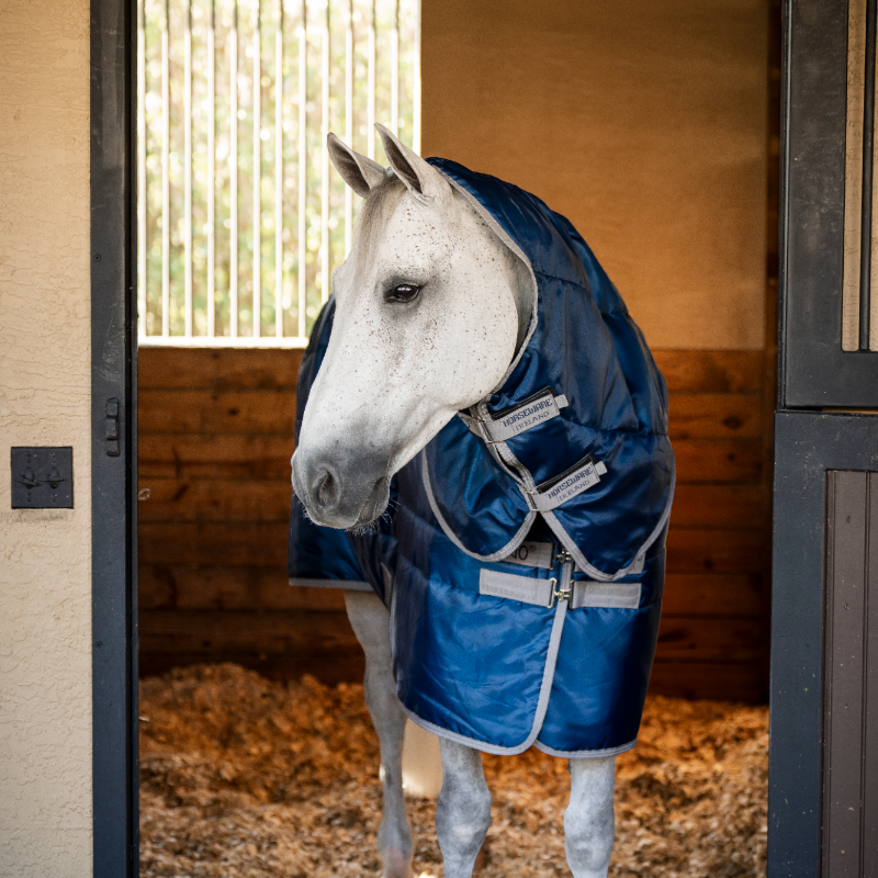 Horseware - Couverture de box Amigo Ripstop Insulator Plus Stable marine/ titanium grey 350g | - Ohlala