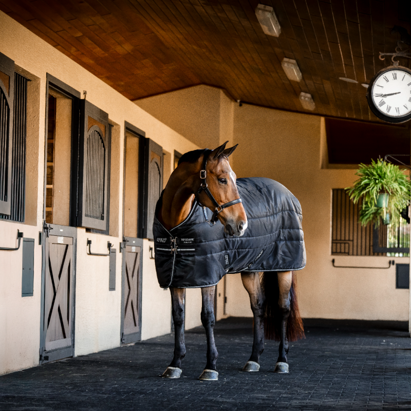 Horseware - Couverture de box Amigo Ripstop Insulator Stable noir/ argent 350g | - Ohlala