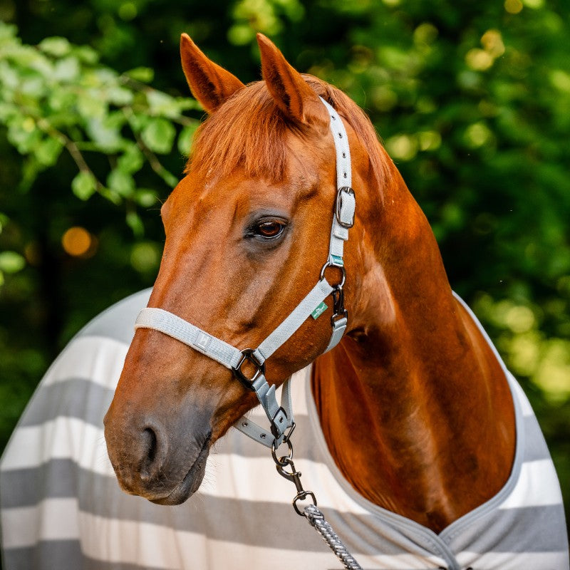 Horseware - Couverture polaire Newmarket witney charcoal | - Ohlala