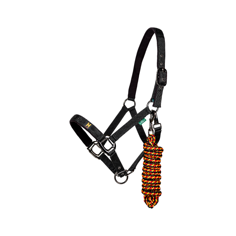 Horseware - Licol et longe Newmarket witney gold | - Ohlala