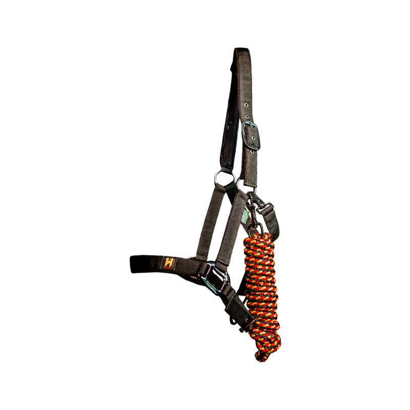 Horseware - Licol et longe Newmarket witney gold | - Ohlala