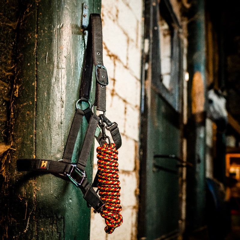 Horseware - Licol et longe Newmarket witney gold | - Ohlala