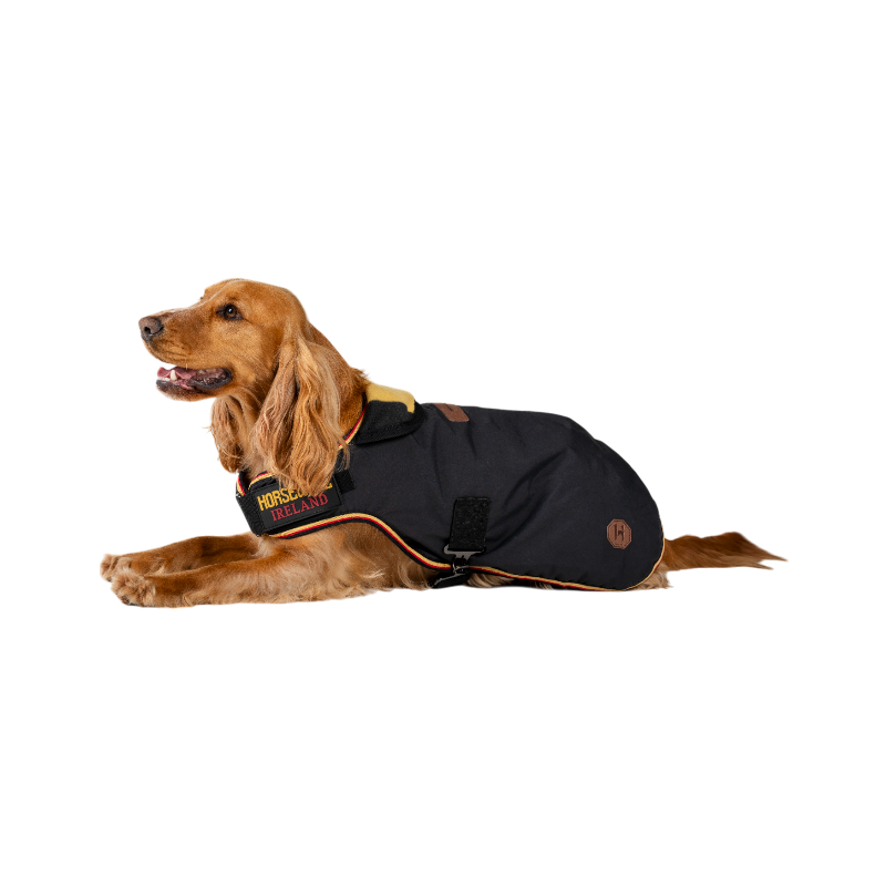 Horseware - Manteau pour chien Newmarket witney gold | - Ohlala