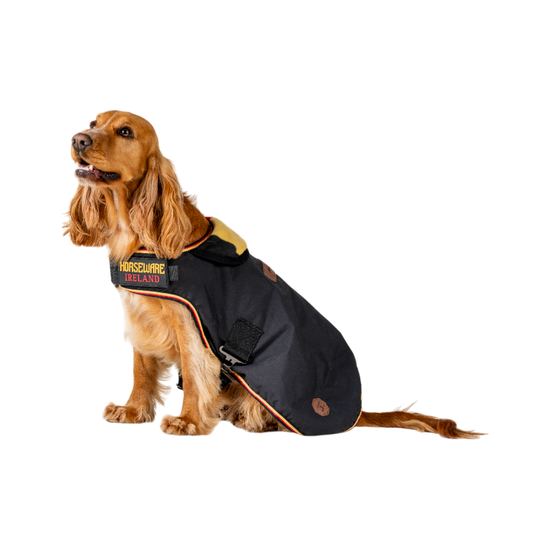 Horseware - Manteau pour chien Newmarket witney gold | - Ohlala