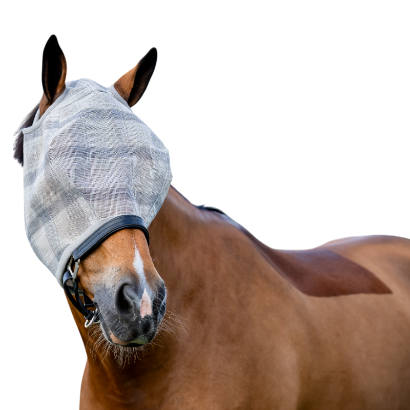 Horseware - Masque anti-mouches sans oreilles Newmarket witney charcoal | - Ohlala