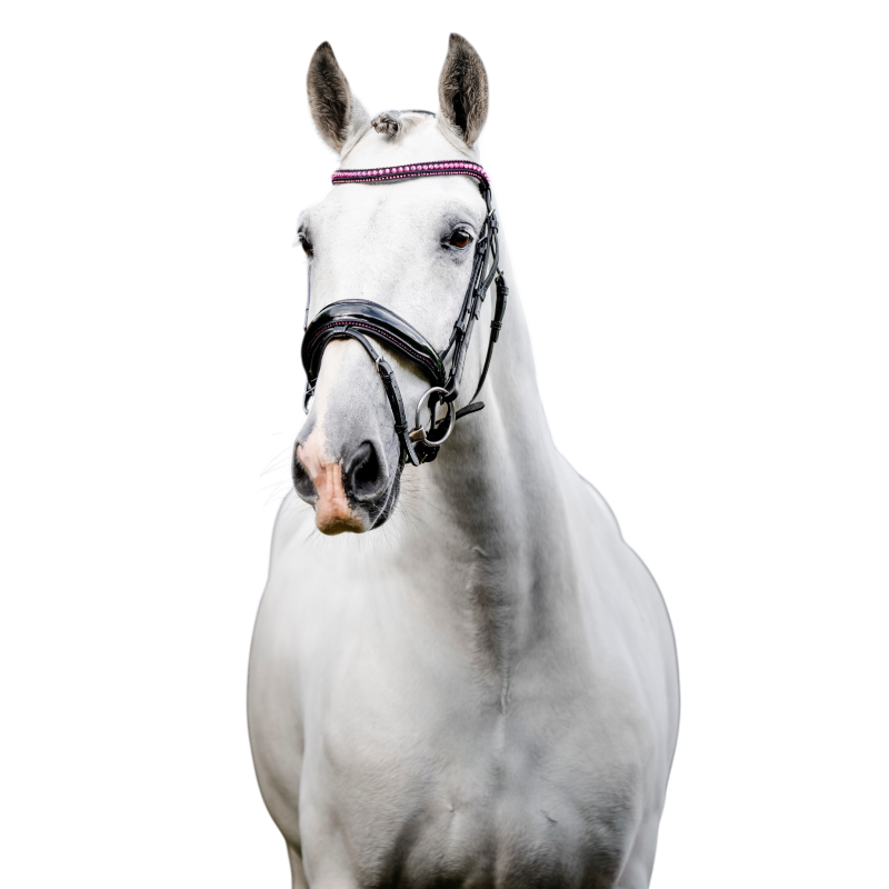 Horseware - Bridon Diamante Flash noir/ rose | - Ohlala